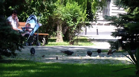 Park Stock Footage 25041905