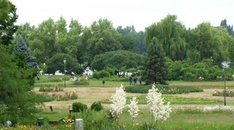 Park Stock Footage 25042182