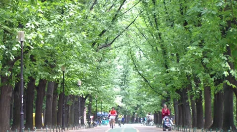 Park Stock Footage 25042358