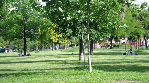 Park Stock Footage 25042404