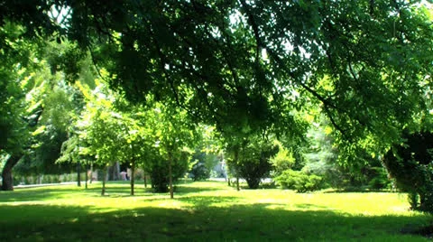 Park Stock Footage 25048124