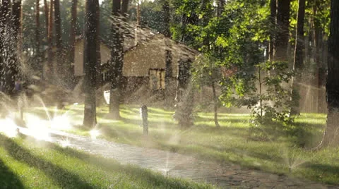 Park Stock Footage 25301083