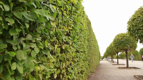 Park Stock Footage 28840383