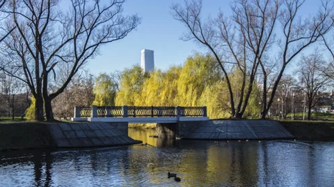 Park Vidéo 32782087