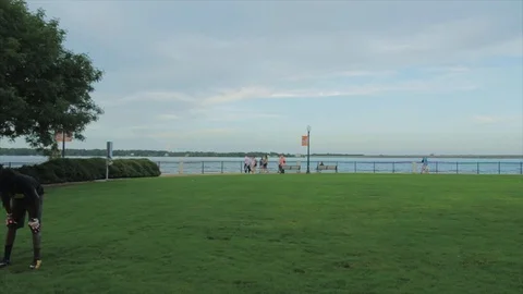 Park Stock Footage 96009076