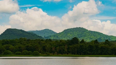 The park Stock Footage 104613607