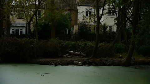 Park Stock Footage 112696387