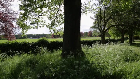 Park Stockbeeldmateriaal 151779010