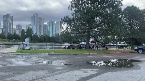 Park Stock Footage 162529954