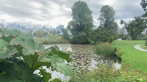 Park Stock Footage 162530057