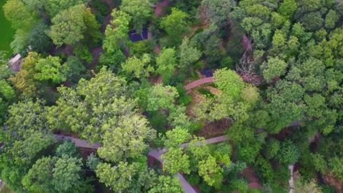 Park Stock Footage 220155320