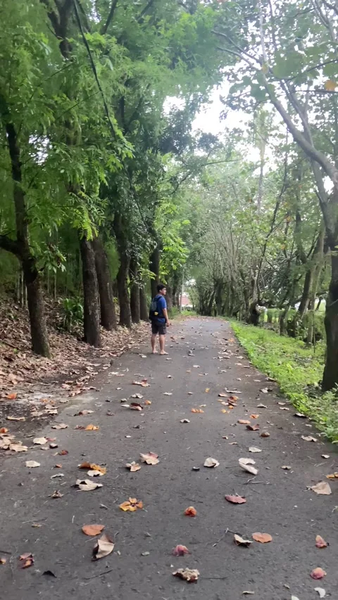 Park Stock Footage 221965032