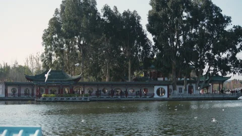 Park Stock Footage 233869124