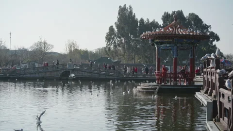 Park Stock Footage 233869165