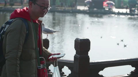 Park Stock Footage 233869233