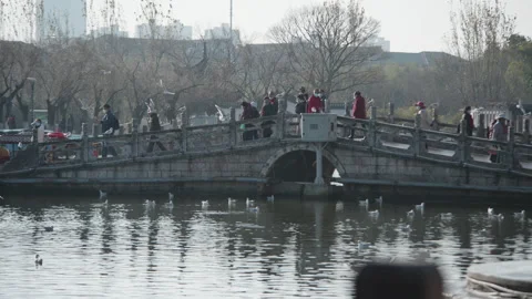 Park Stock Footage 233869238