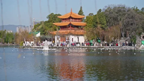 Park Stock Footage 233893465