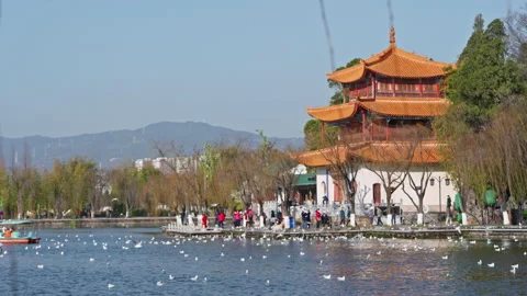 Park Stock Footage 233893544