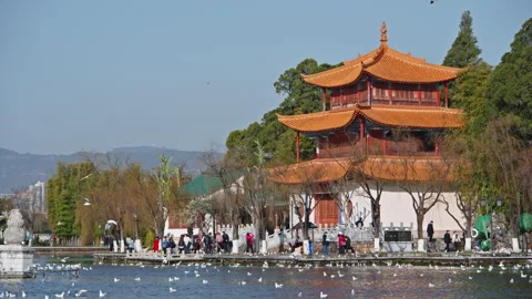 Park Stock Footage 233893565