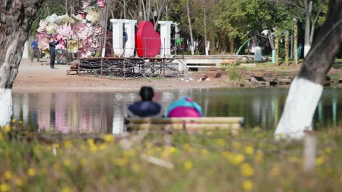 Park Stock Footage 233895530