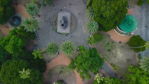 The park Video stock 245493965