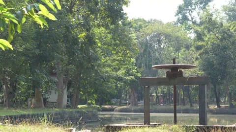 Park Stock Footage 296091617