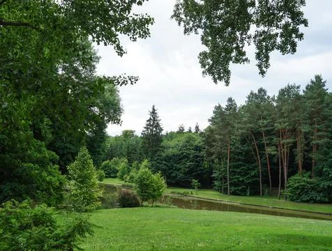 Park Forest Stock Photos