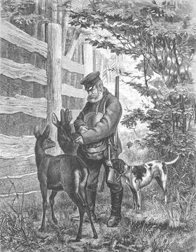 The park forester feeds the trusting deer in the nature park, 1895, Germany, Stock Illustration