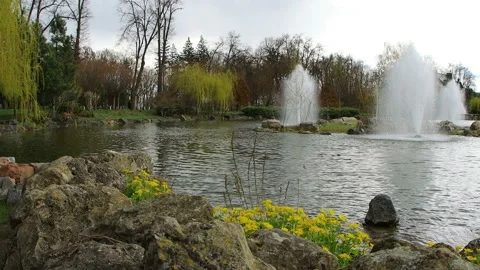 Park fountain in background. Stock Footage 153850841