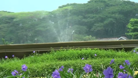 Park with fountain Stock Footage 274485304