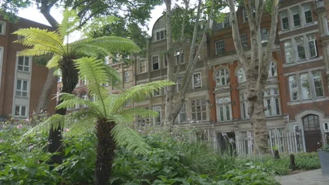A park in front of old houses. Stock Footage 111365043