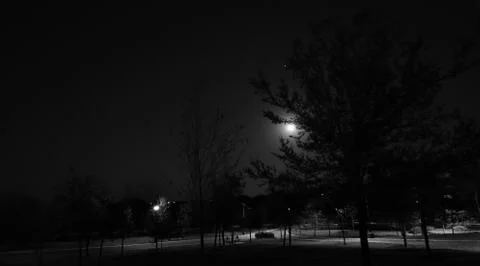 Park with full moon Stock Photos