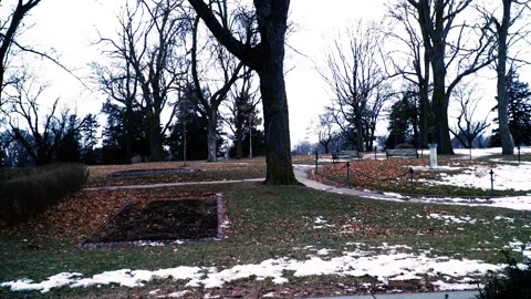 Park Gardens in Winter Stock Footage 232652361