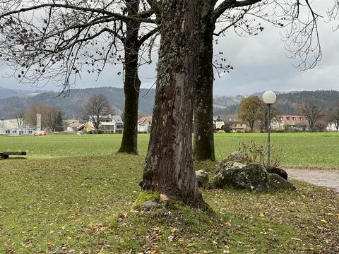 A Park in Germany Foto stock