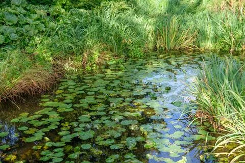 Park in germany Foto stock