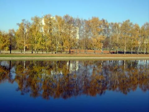Park in gold fall Foto stock