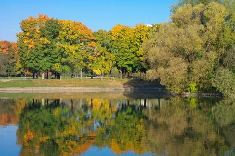 Park in gold fall Stock Photos