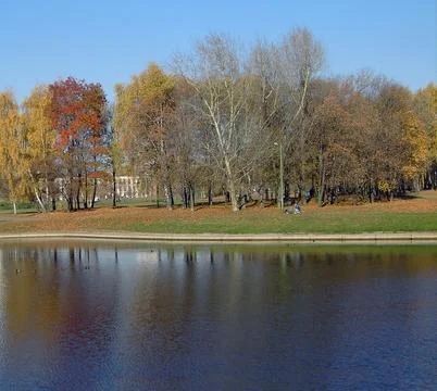 Park in gold fall Stock Photos