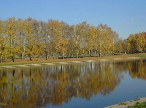 Park in gold fall 库存照片