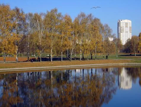 Park in gold fall Stock Photos