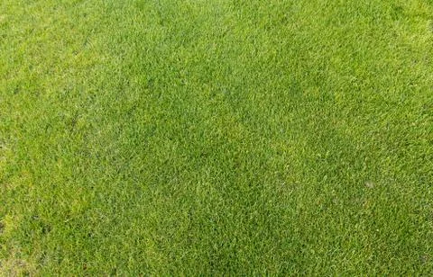 Park with a golf course Foto stock