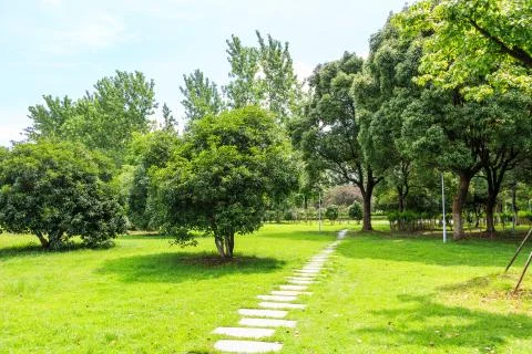 Park grass road Stock Photos