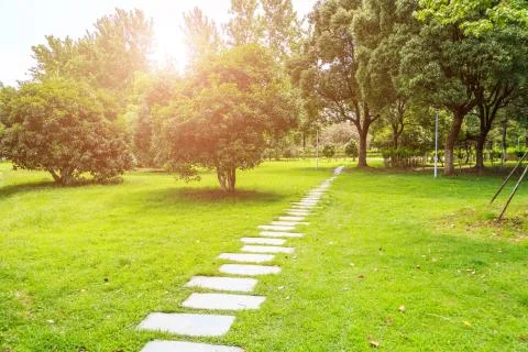 Park grass road Stock Photos