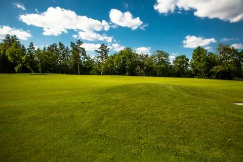Park green background Stock Photos