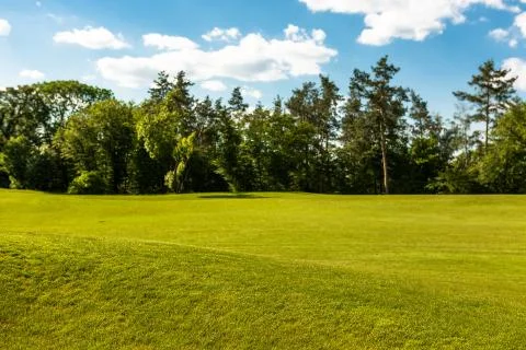 Park green background Stock Photos
