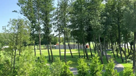 Park with green golf course Stock-Footage 247760329