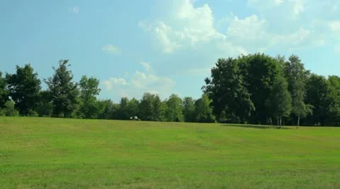 Park with green lawn. Stock Footage 11527733
