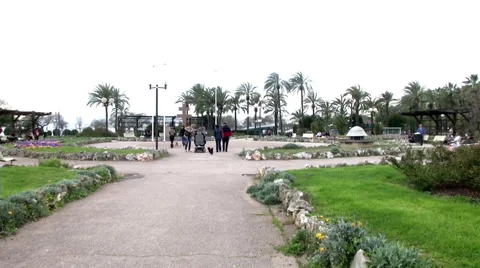 Park on a Grey Day Stock Footage 46039009