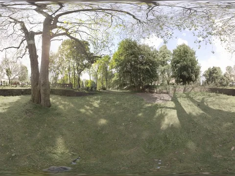 Park in Hamburg, Germany Stock Footage 76569888