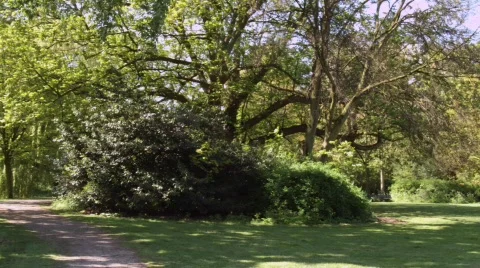 Park HD Stock Footage 521964